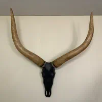 مجسمه دیواری