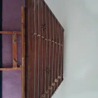 سنتور