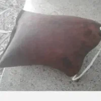 ماست گوسفندی ،ماست جاشیر، دوغ شیر،پنیر وکره