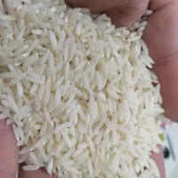 برنج رژیمی گیلان