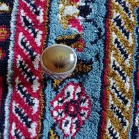 شجر رکاب دست مهر دار