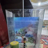 آکواریوم شیشه خم اندازه ۲۲ در ۴۲ سانتی متر