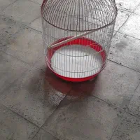 لوازم پرنده و عروس هلندی