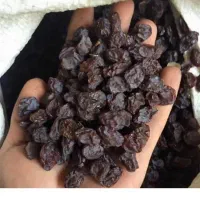 کشمش و مویز نقد و اقساط
