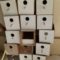 لونه مرغ عشق دست دوم
