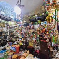تمام لوازم واسباب بازی مورد نیاز پرنده وقفس