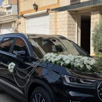 دیزاین رز