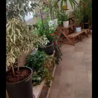 خانم برای نظافت ویلایی