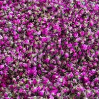 غنچه خشک درجه ۱ دارابی