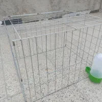 جفت کنی قفس کفتر با آبخوری