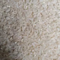 نیم دانه کامفیروزی