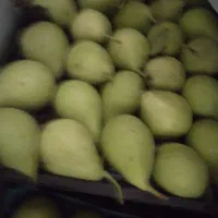 سیب و گلابی تازه