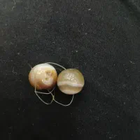 مهره سلیمانی