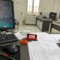 رئیس حسابداری مسلط به سپیدار
