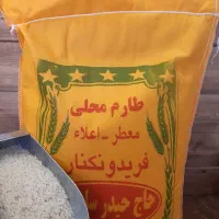برنج طارم فریدونکنار