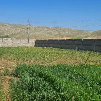 شراکت-در-دارمداری