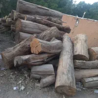 چوب خشگ کبوده