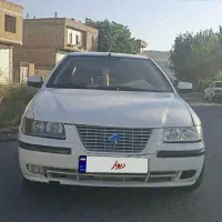 سمند معمولی