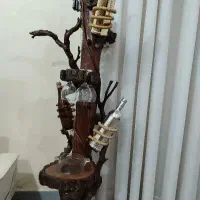 درختچه بار