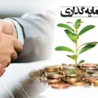 جذب سرمایه گذار