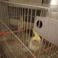 قیمت ۲۰۲۰۰۰۰