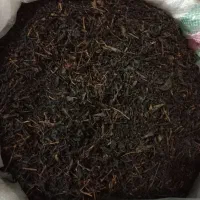 چای دستی بهاره و چای ممتاز