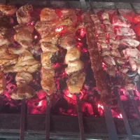 خانم ظرفشور در کبابی
