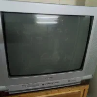 تلویزیون