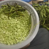فروش باقالی.