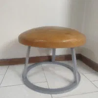 قارچ ژیمناستیک
