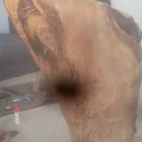 چراغ خواب تنه طبیعی درخت