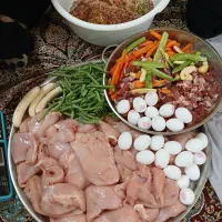 غذای خانگی سگ و گربه