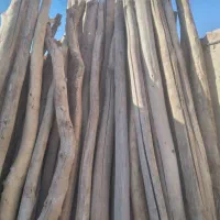 خرید چوب خشک سالم ذغالی تخریب