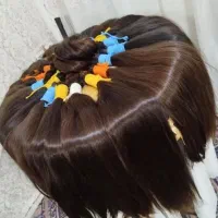 فروش مو(خریدار اصلی باقیمتی بالاترازسایر همکاران