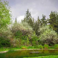 210-متر-باغ-شهران-شمالی