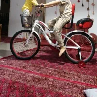 دوچرخه 24