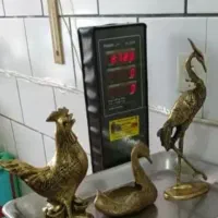 خروس اردک طاووس آنتیک قدیمی