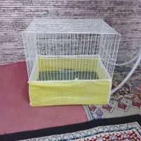 قفس نو