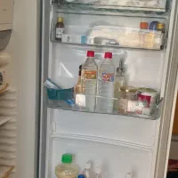 یخچال اگنس ایتالیایی