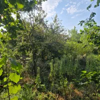 زمین-مسکونی-500-متری