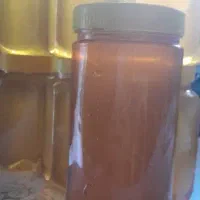 عسل گون تازه برداشت
