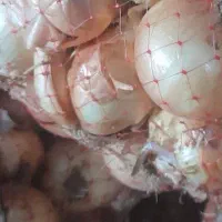 پیاز زرد کبابی پاچالی