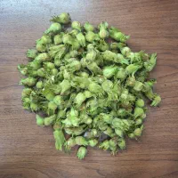 فندق تازه چین