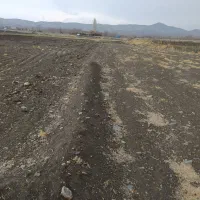 زمین دیم روستای قوزان
