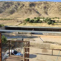 فروش گاوداری صنعتی ۲۵۰ راسی