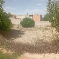 نیاز ب شراکت پر درامد