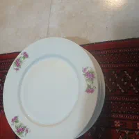 گل سرخ چینی ایرانی اصل و قدیمی