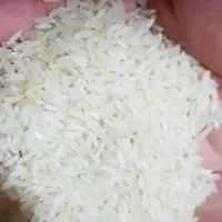 برنج چمپا میداوودی خوش عطر وبو