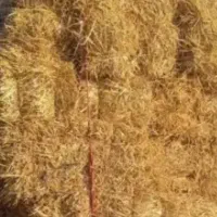 پرس جو تحویل در محل قیمت توافقی