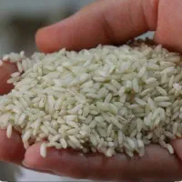 برنج عنبر بو. ارسال رایگان. پرداخت درب منزل